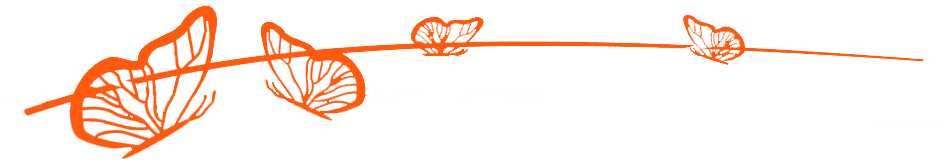 Orange sommerfugle på en gren illustration